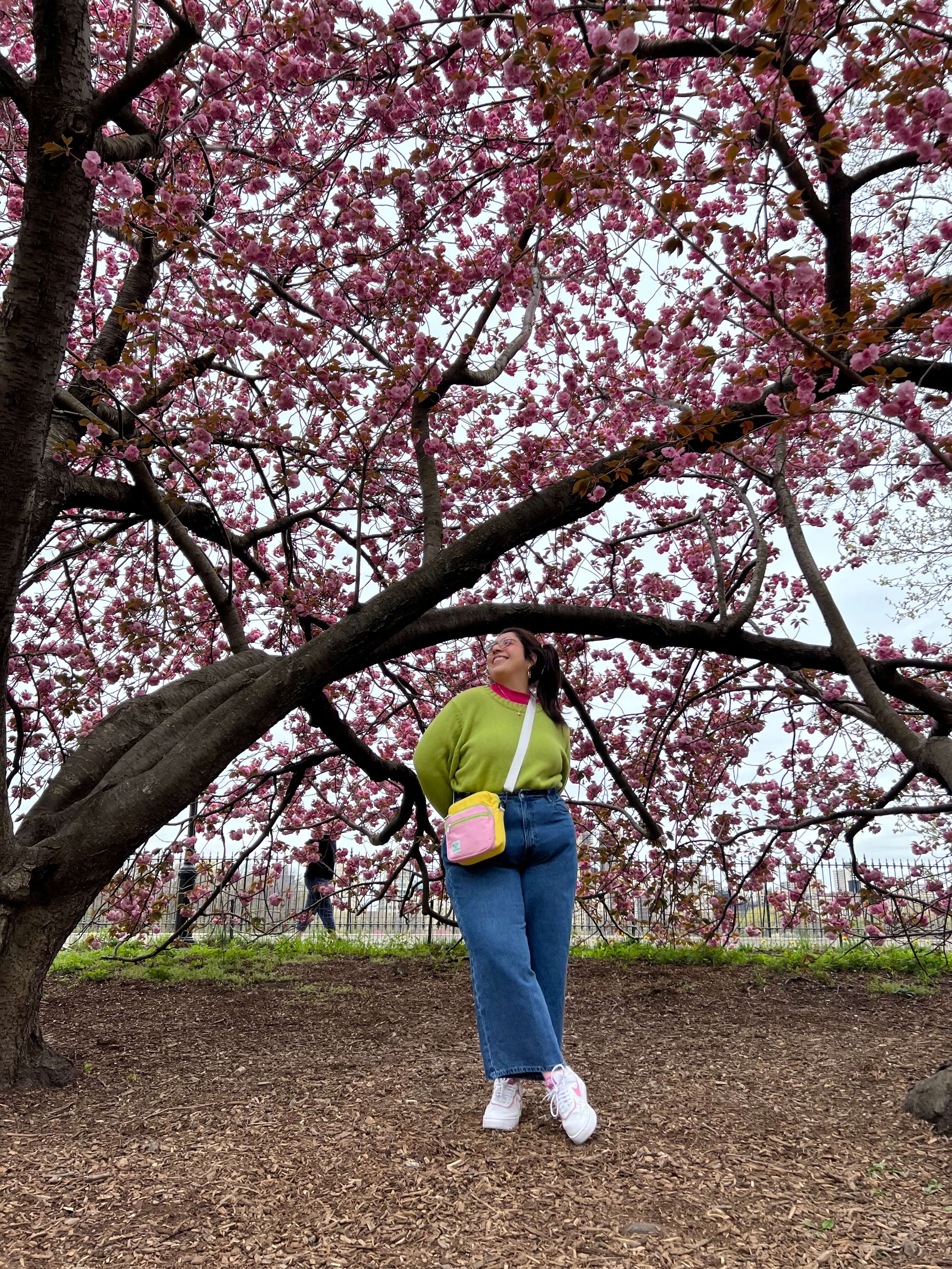 Shiny by Nature Endowed a Cherry Tree in Central Park!